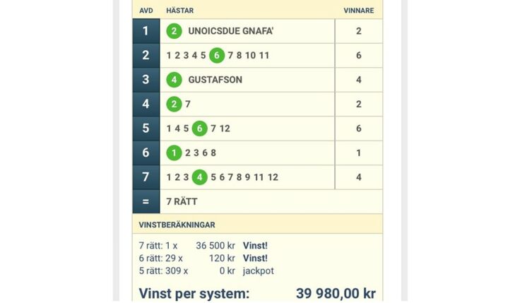 SJU RÄTT FÖR SOLVALLAS TIPSEXPERT