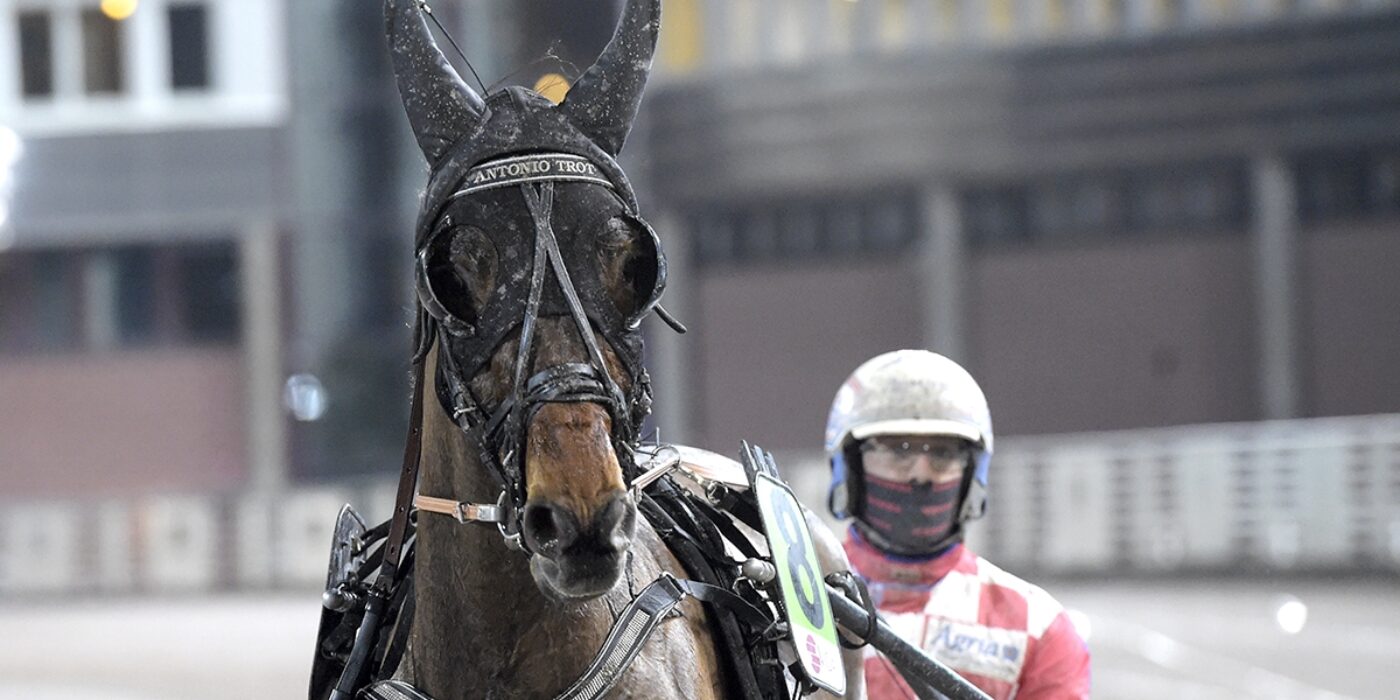 MÅNADENS HÄSTÄGARE &#8211; FEBRUARI 2021