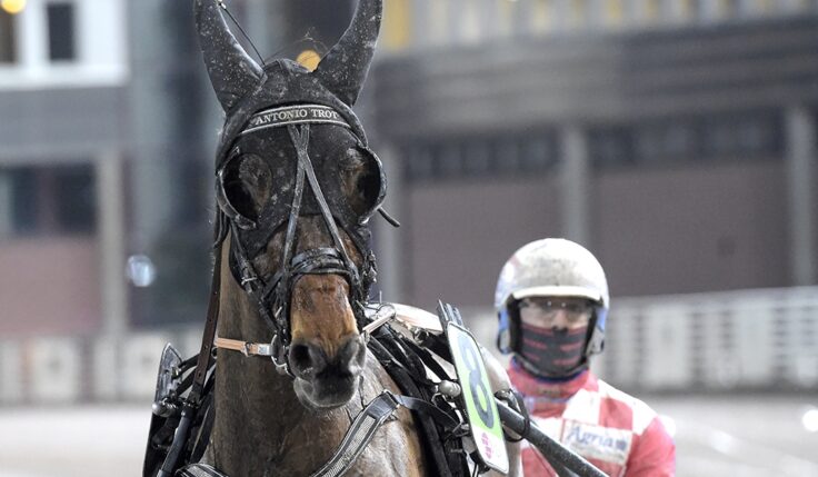 MÅNADENS HÄSTÄGARE – FEBRUARI 2021