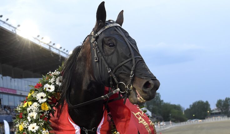 ATTRAVERSIAMO KLAR FÖR ELITLOPPET 2020