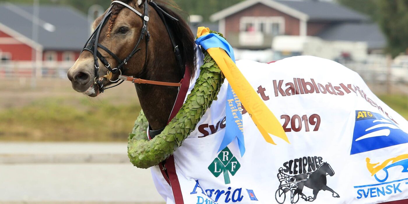 ANDELSTIPSET &#8211; V75