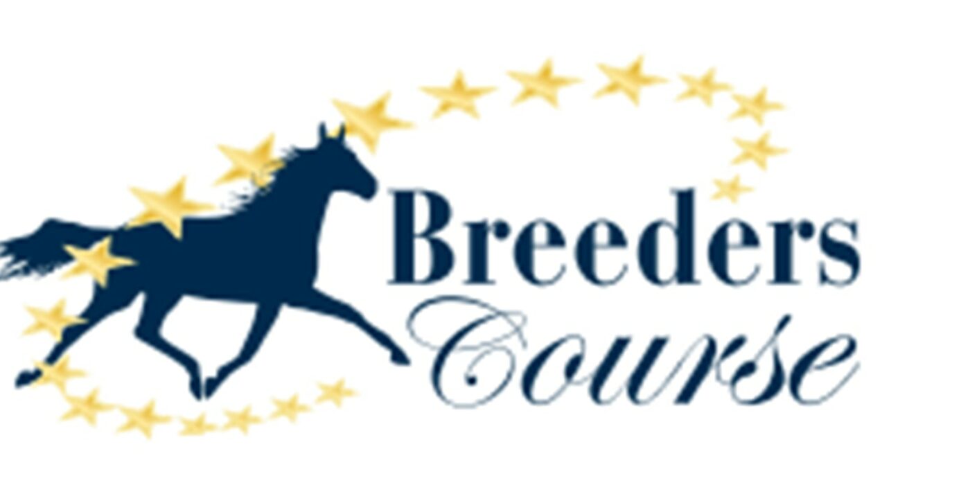 BREEDERS COURSE 3 YEARS OLD &#8211; FJÄRDE UTTAGNINGSLOPPET