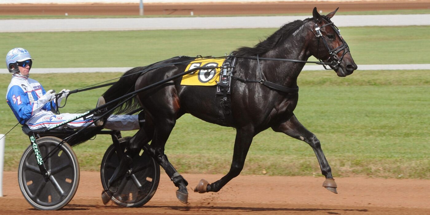 BACK OF THE NECK KLAR FÖR ELITLOPPET 2022