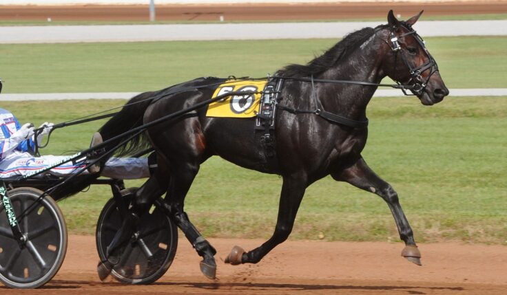 BACK OF THE NECK SÄGER NEJ TILL ELITLOPPET 2022