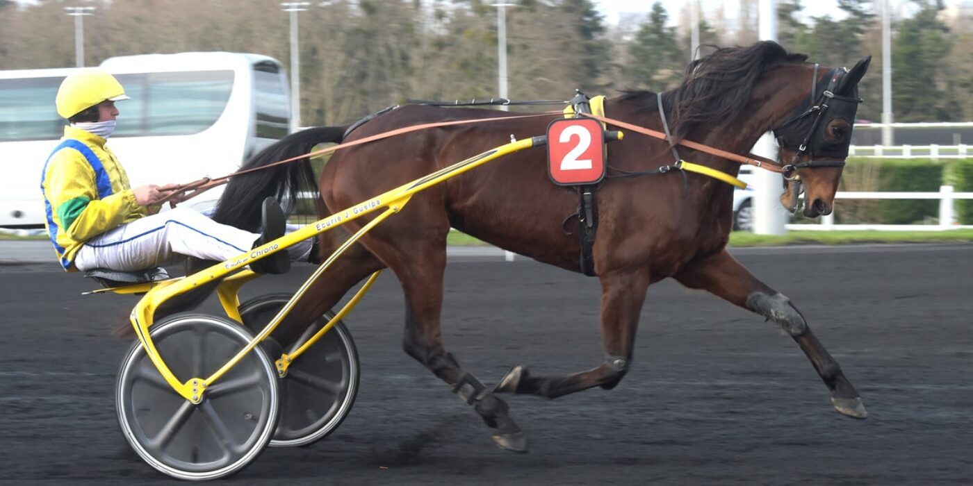 Bahia Quesnot klar till Elitloppet