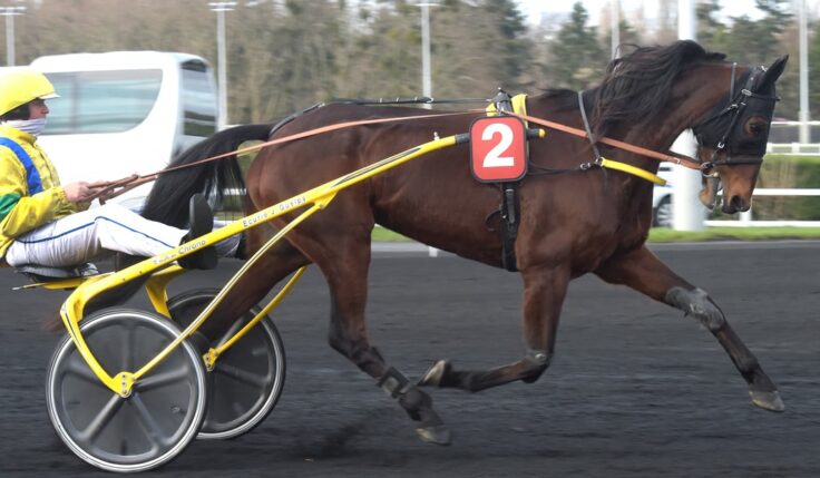 Bahia Quesnot klar till Elitloppet