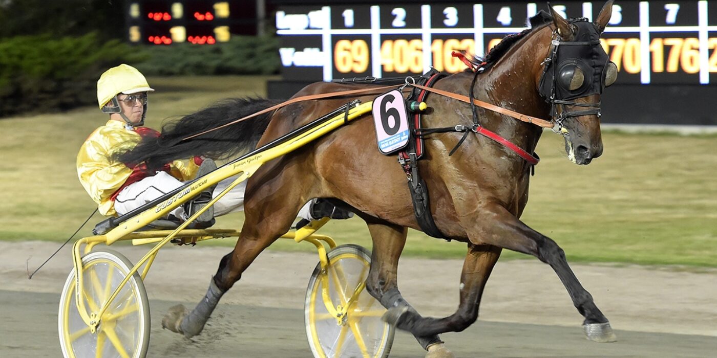 BAHIA QUESNOT KLAR FÖR ELITLOPPET 2021