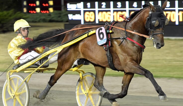 BAHIA QUESNOT KLAR FÖR ELITLOPPET 2021