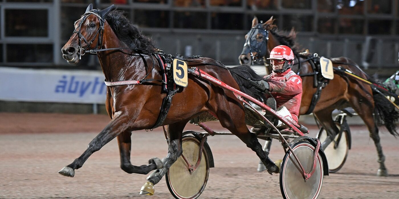 ANDELSTIPSET &#8211; V75