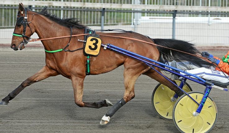 BILLIE DE MONTFORT KLAR FÖR ELITLOPPET 2020