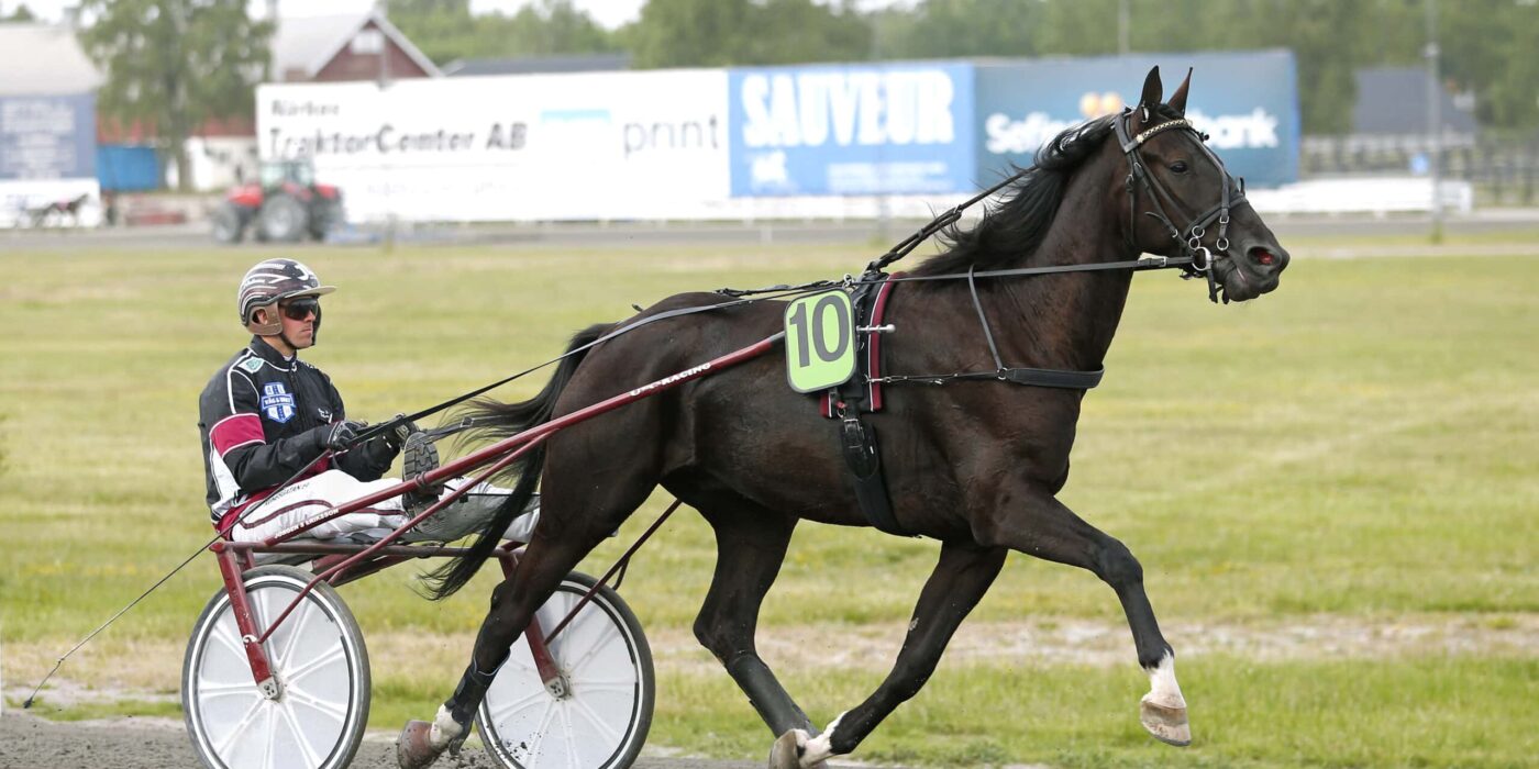 ANDELSTIPSET &#8211; V86