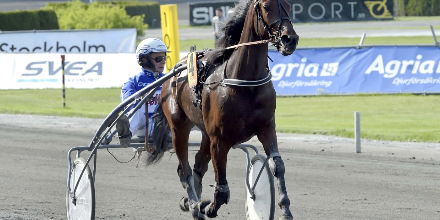 ANDELSTIPSET &#8211; V75