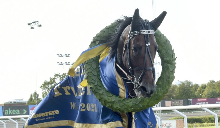 SOLVALLA CHAMPIONS FIRAS PÅ LÖRDAG