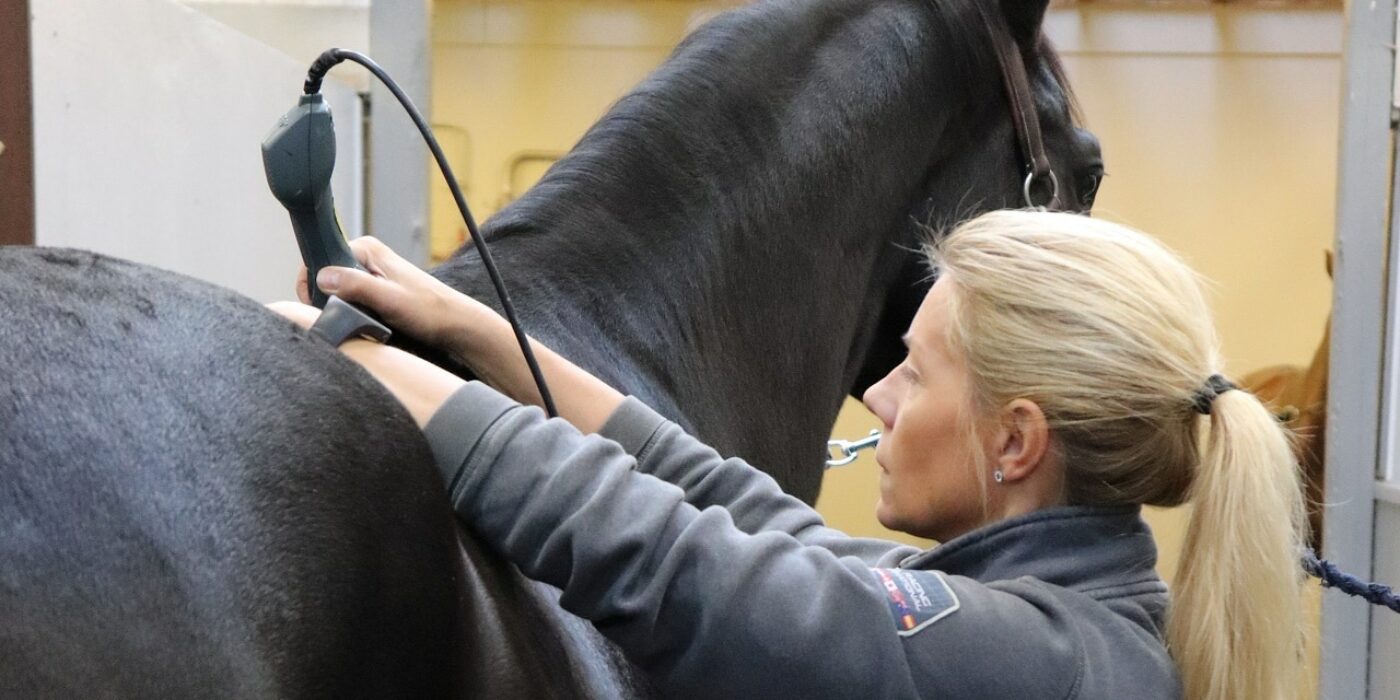 Equiterapeuten Camilla Larson föreläser på Travskolan