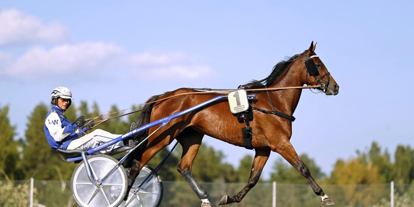 ANDELSTIPSET &#8211; V86