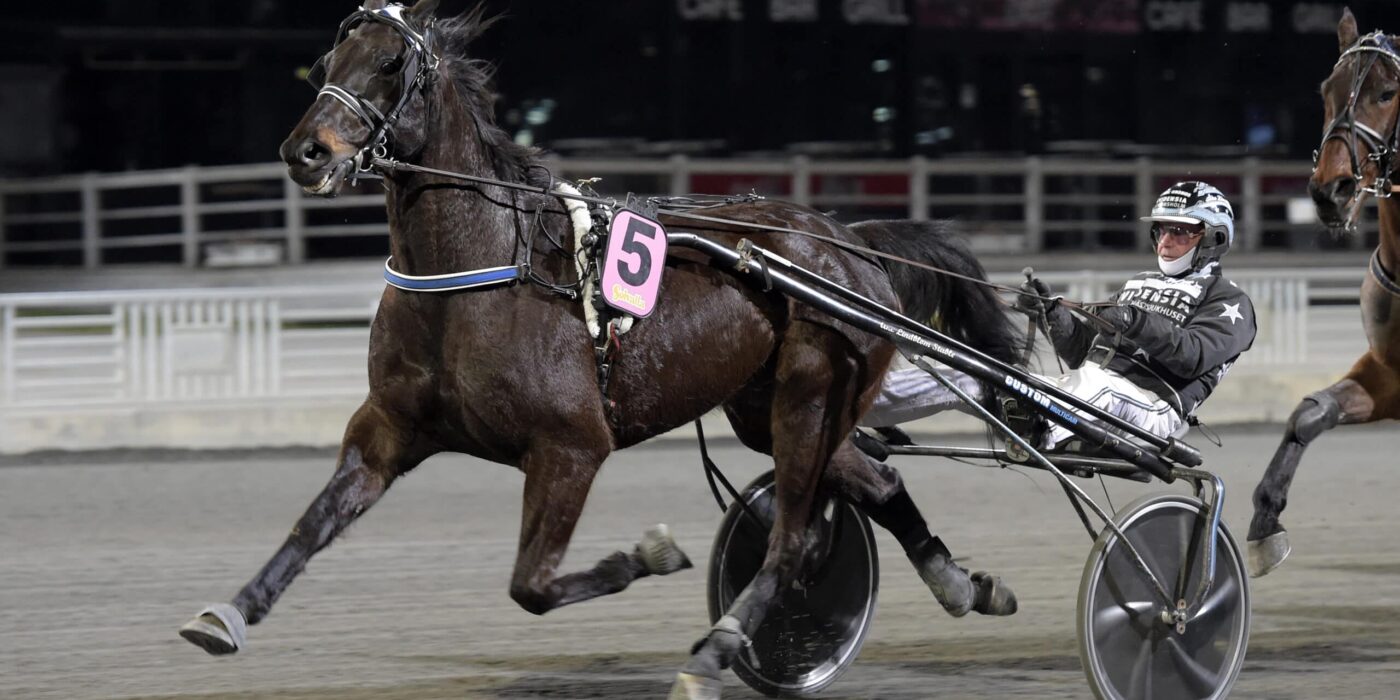 ANDELSTIPSET &#8211; V86