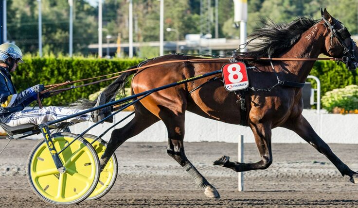 CLICK BAIT KLAR FÖR ELITLOPPET 2021