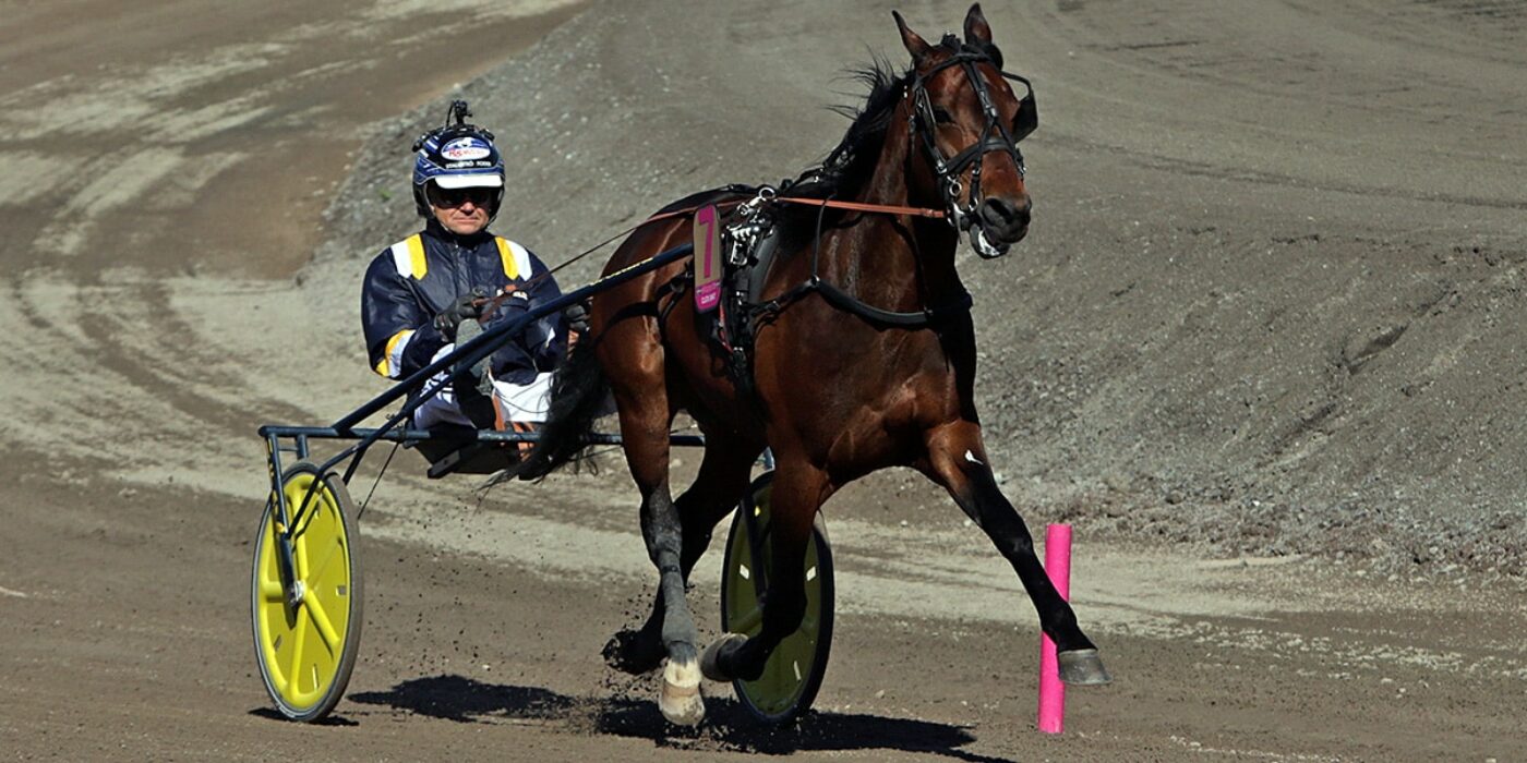 CLICK BAIT VANN H.K.H. PRINS DANIELS LOPP I GÄVLE OCH ÄR KLAR FÖR ELITLOPPET