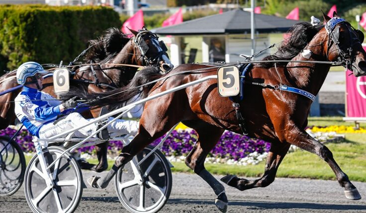 COKSTILE KLAR FÖR ELITLOPPET 2021