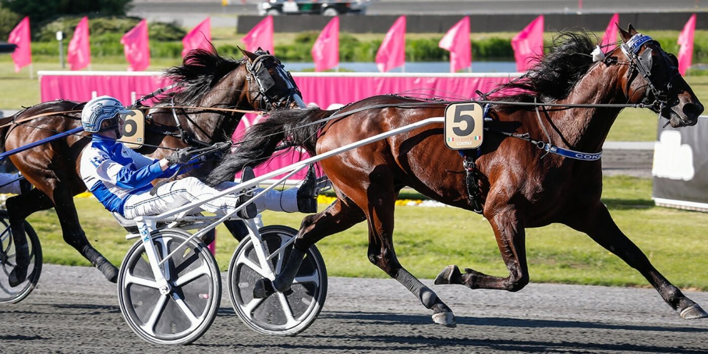 COKSTILE TOG DIREKTBILJETT TILL ELITLOPPET 2022