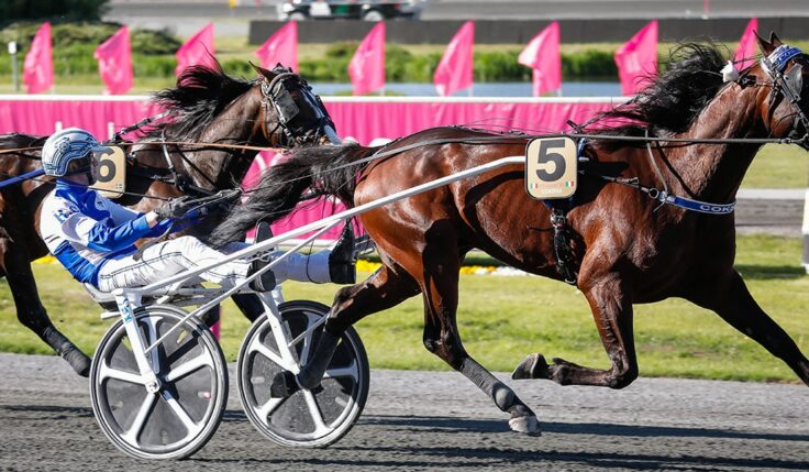 COKSTILE TOG DIREKTBILJETT TILL ELITLOPPET 2022