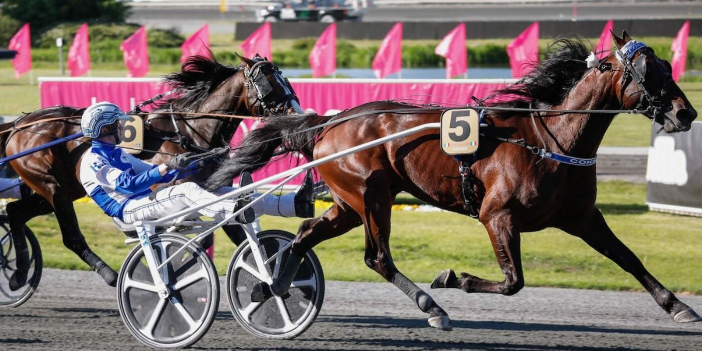 COKSTILE NY VINNARE I ELITLOPPET 2020