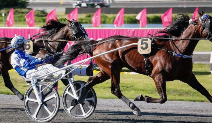 COKSTILE NY VINNARE I ELITLOPPET 2020