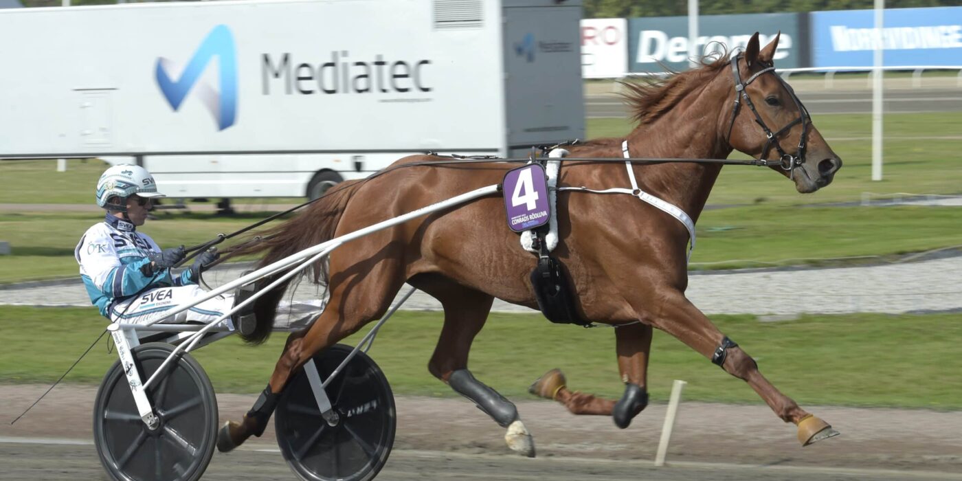 ANDELSTIPSET &#8211; V86