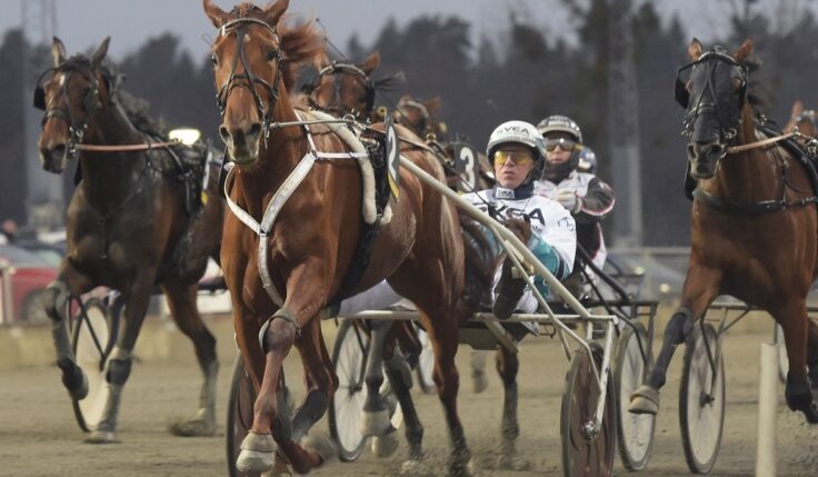 V75: Conrads Rödluva imponerande BC-vinnare