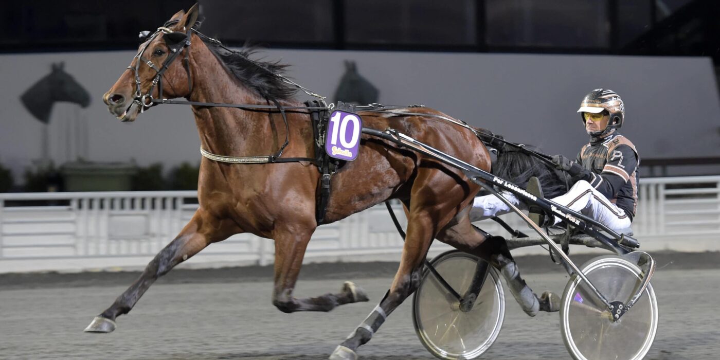 ANDELSTIPSET &#8211; V75