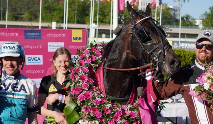 DON FANUCCI ZET VINNARE AV ELITLOPPET 2021