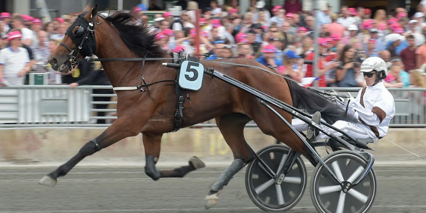 Dijon inbjuden till Elitloppet