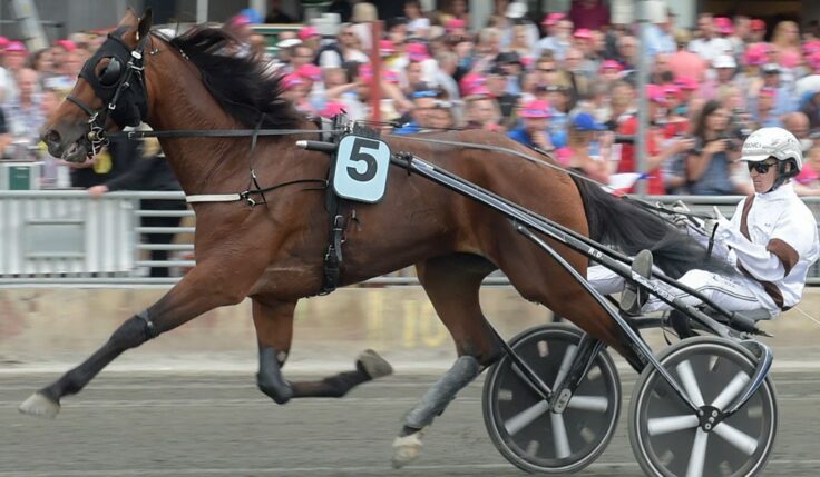 Dijon inbjuden till Elitloppet