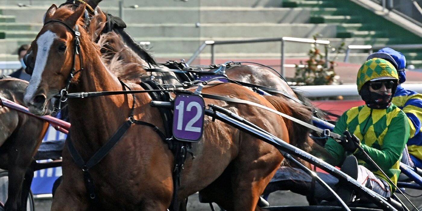 DORGOS DE GUEZ KLAR FÖR ELITLOPPET 2021