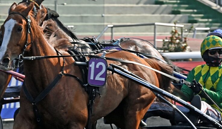 DORGOS DE GUEZ KLAR FÖR ELITLOPPET 2021