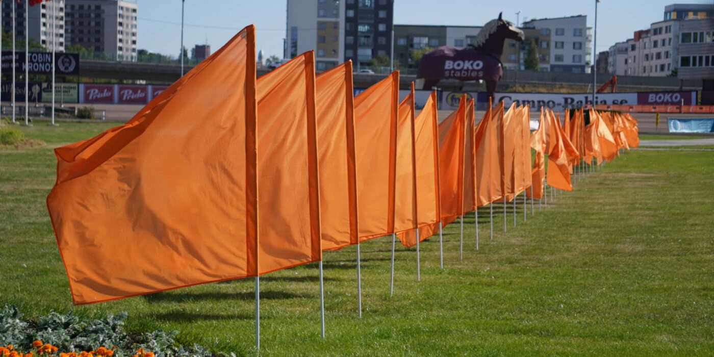 ANDELSTIPSET &#8211; V75