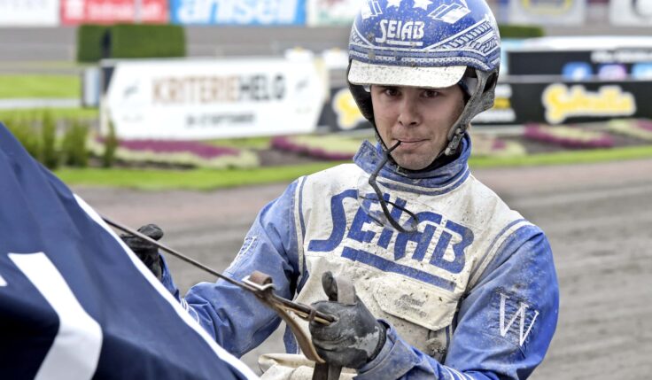 ANDELSTIPSET &#8211; V75