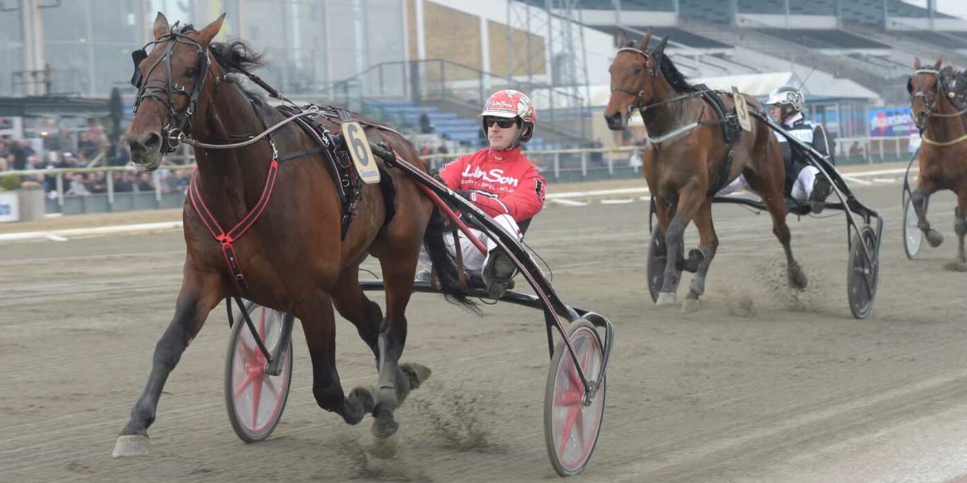 Day Or Night In inbjuden till Elitloppet