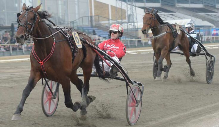 Day Or Night In inbjuden till Elitloppet