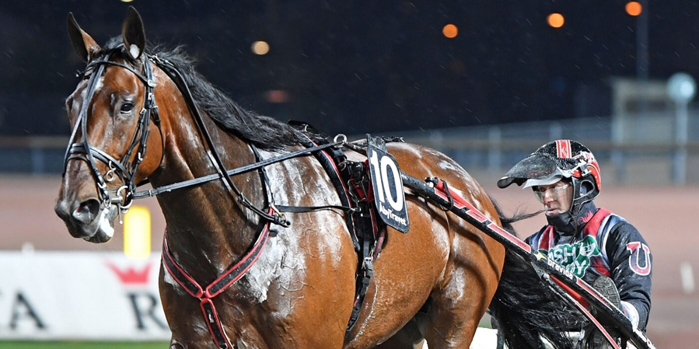 SOLVALLA TV ÄR TILLBAKA 6 FEBRUARI