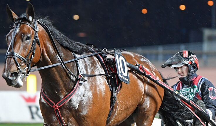 SOLVALLA TV ÄR TILLBAKA 6 FEBRUARI