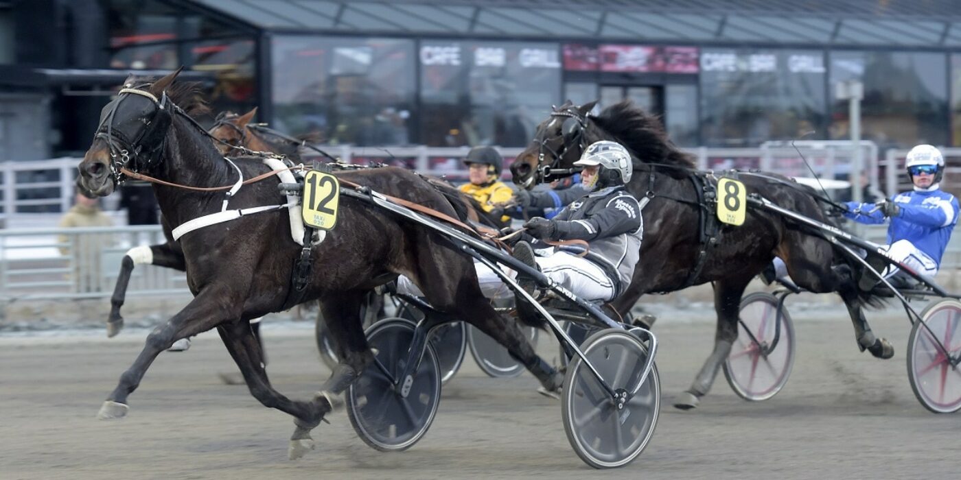 Hallå där Mattias Djuse&#8230;