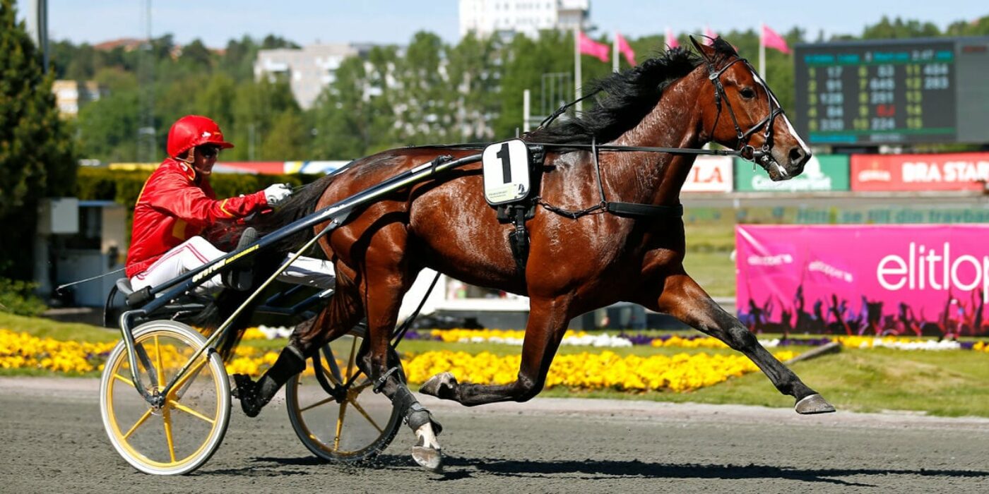 Disco Volante inbjuden till Elitloppet