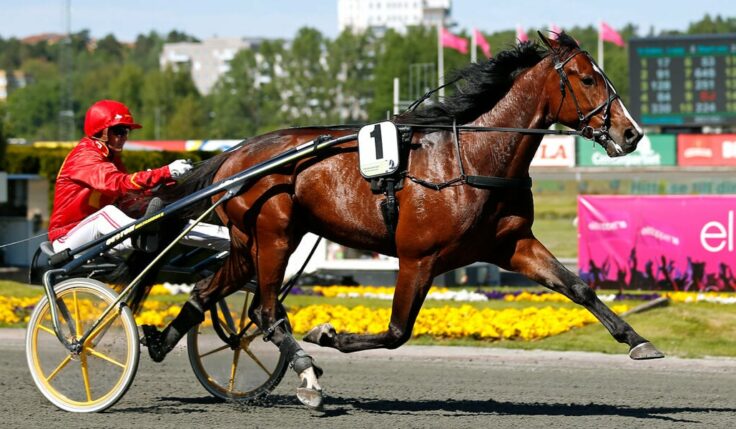 Disco Volante inbjuden till Elitloppet