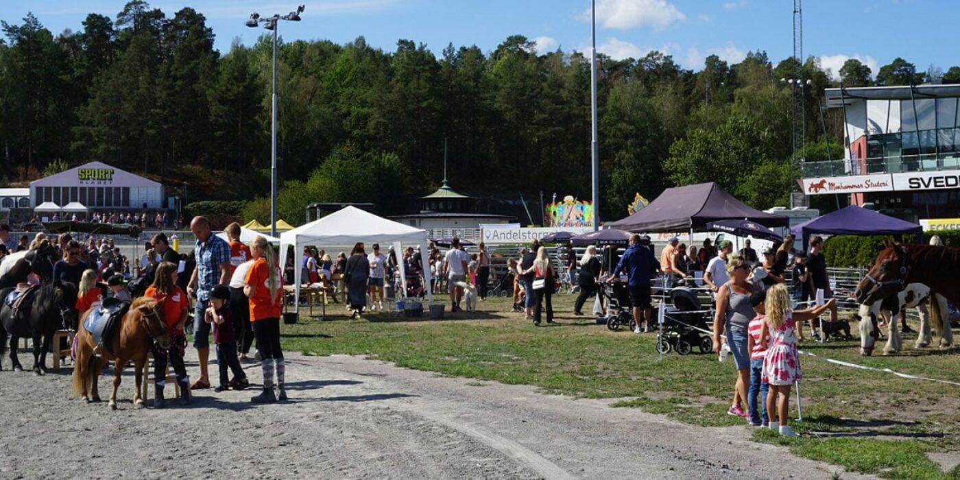 Ekostigen och Svensk glass-nyhet under Djurens Helg