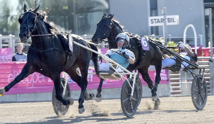ELITLOPPET FÅR FEM MILJONER KRONOR I FÖRSTA PRIS