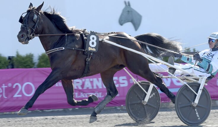 DON FANUCCI ZET KLAR FÖR ELITLOPPET 2021