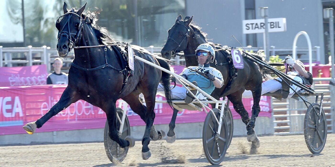 MÅNADENS HÄSTÄGARE &#8211; MAJ 2021