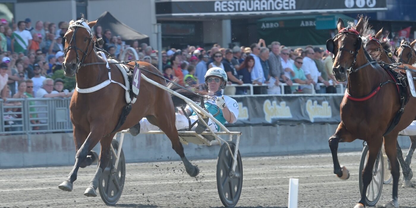 Double Exposure klar för Elitloppet