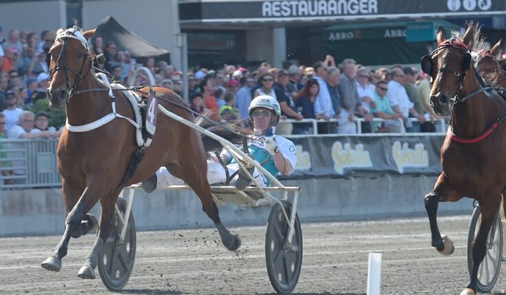 Double Exposure klar för Elitloppet